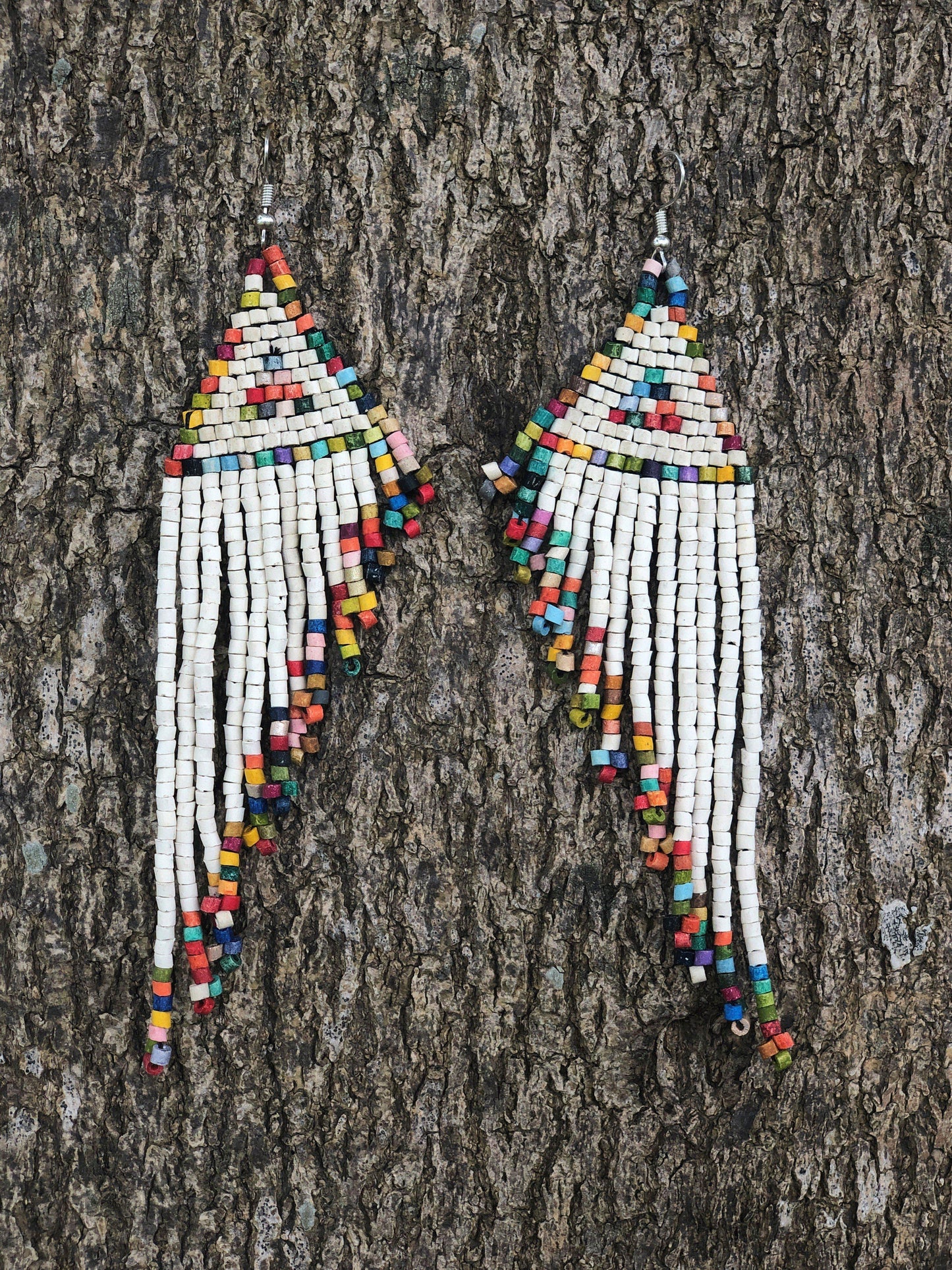 Cola de Quetzal - Borde Multicolor