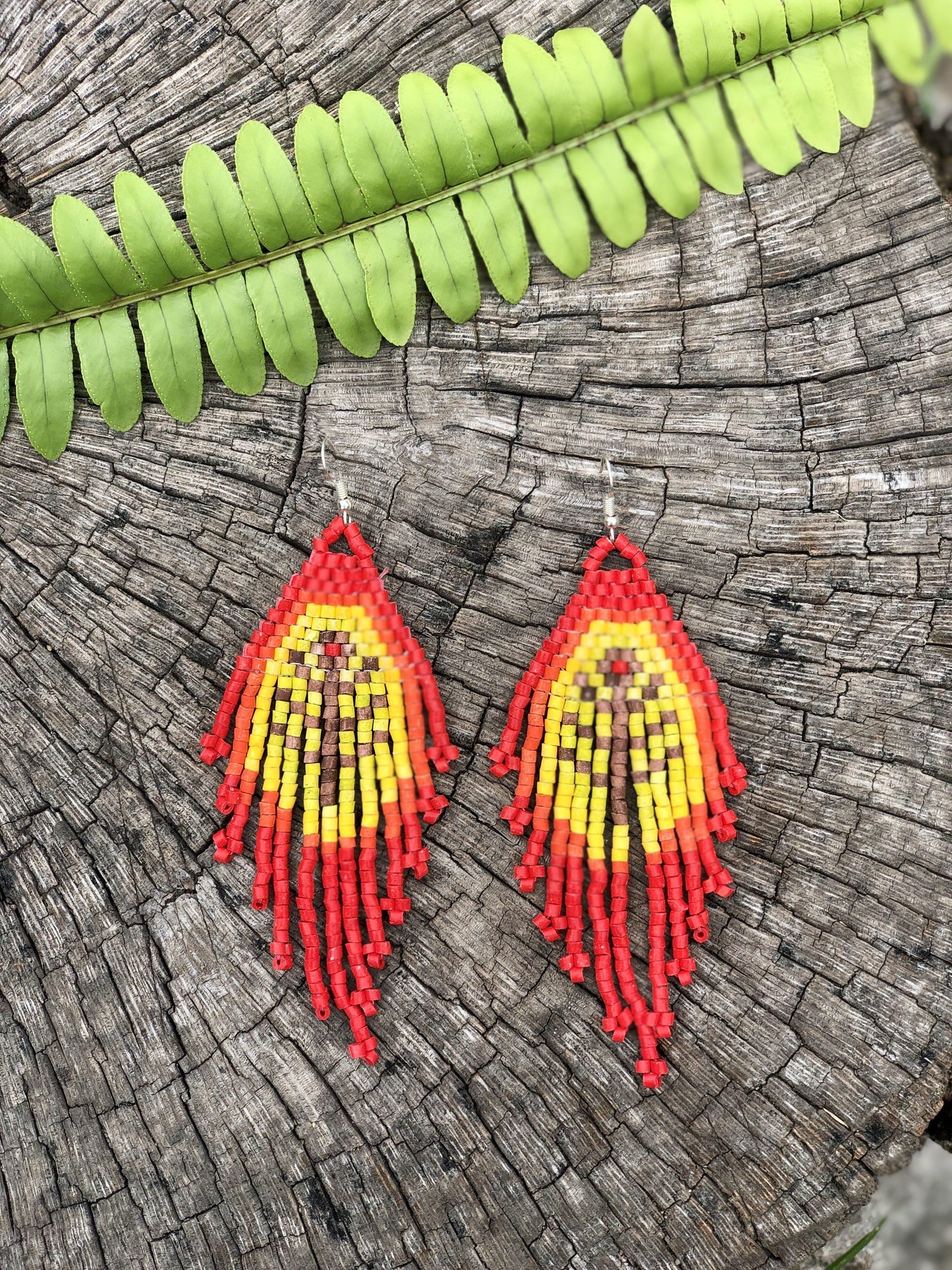 Fósiles de Tikal - Rojo