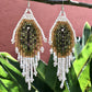 Tikal Fossils -White